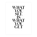 WHAT YOU SEE (Print Only) thumbnail
