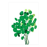 Pilea (Print Only) thumbnail