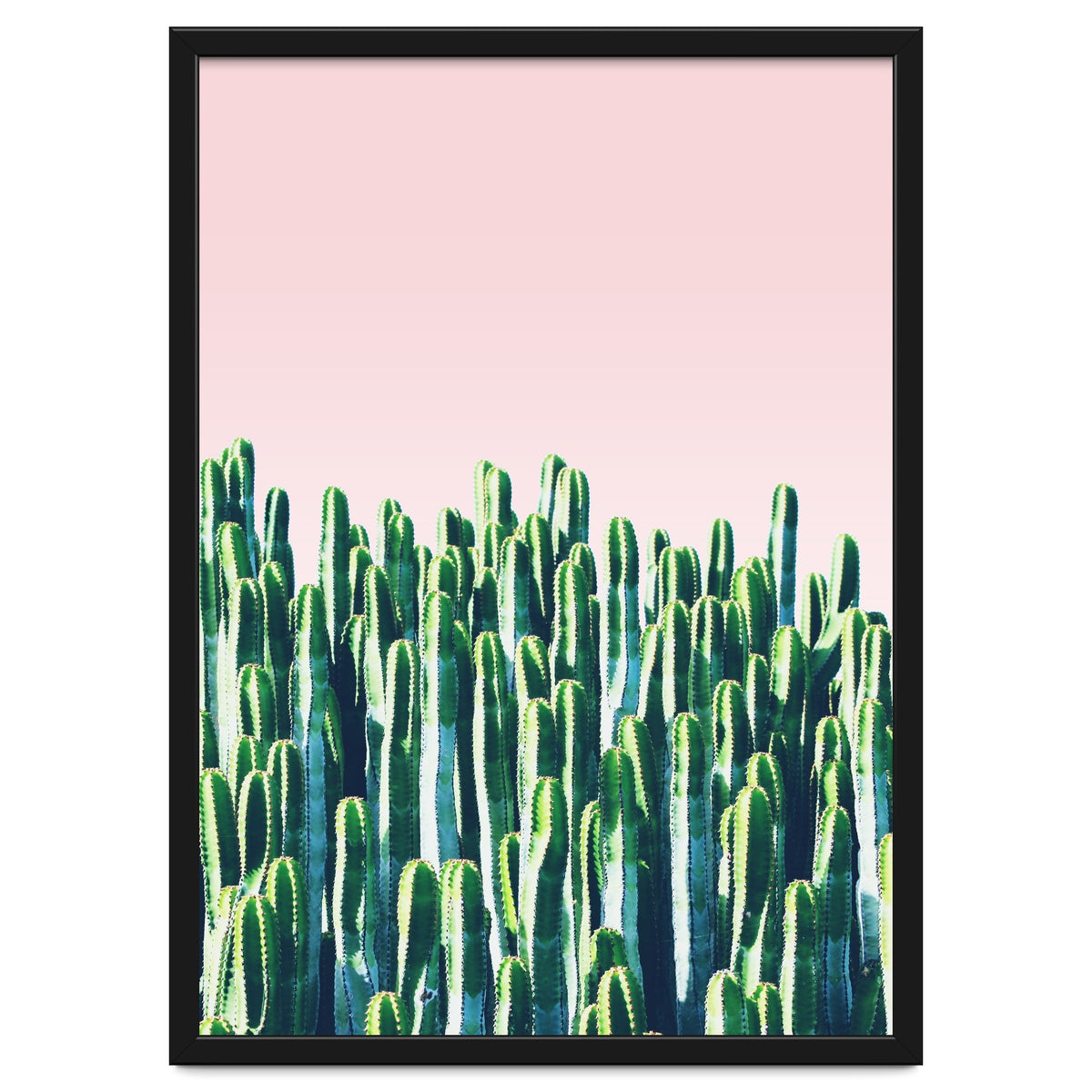 Cactus & Sunset I