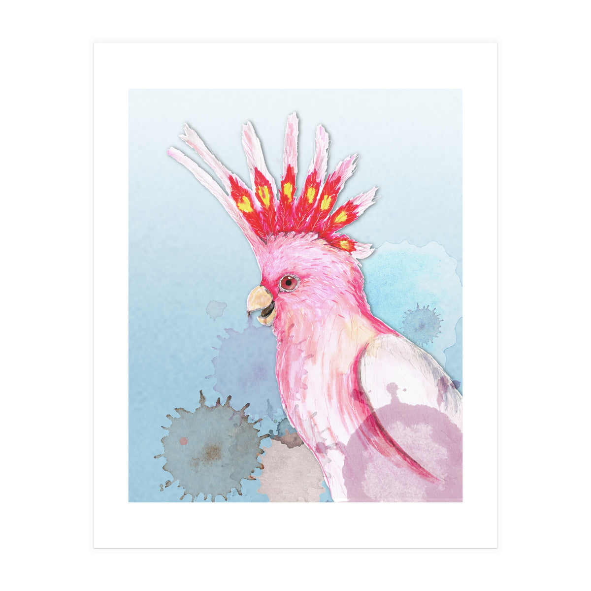 Major Mitchell's cockatoo (Print Only)