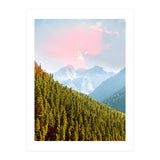 Evergreen (Print Only) thumbnail