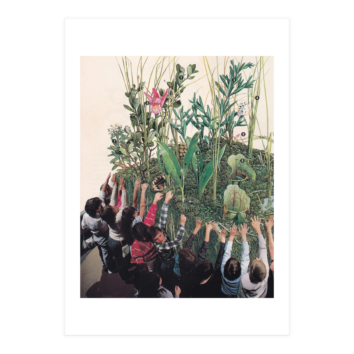 Grow Up (Print Only)