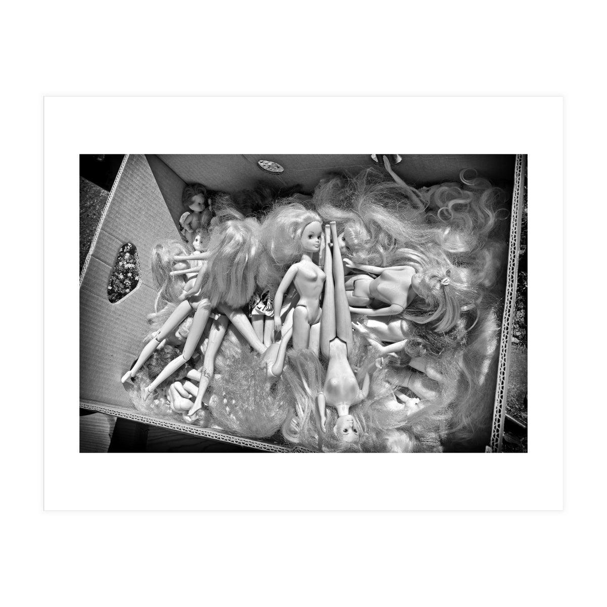 Dolls (Print Only)