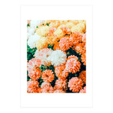 Garden Song (Print Only) thumbnail