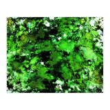 Green Deflected (Print Only) thumbnail