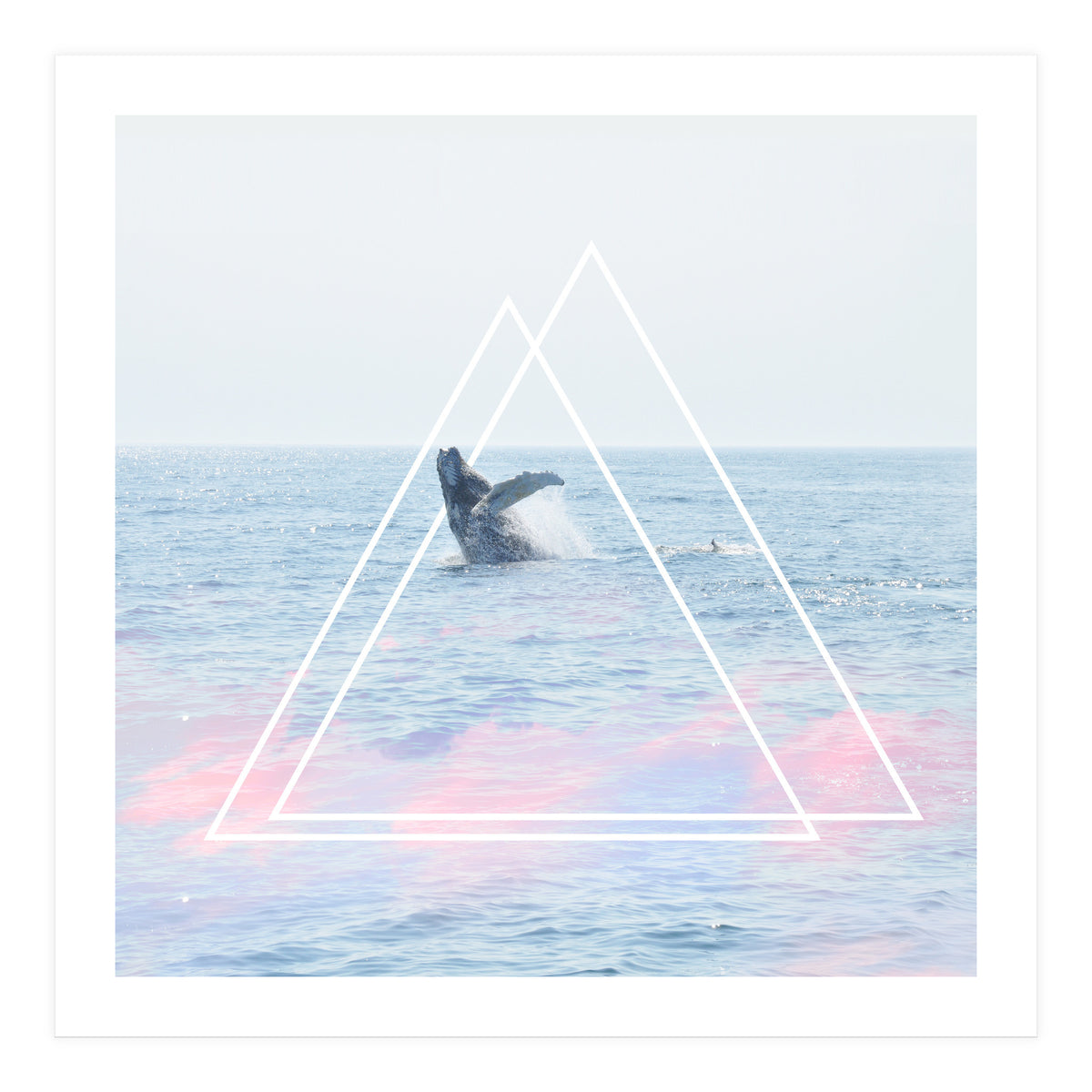 Whale of a Time (Print Only)