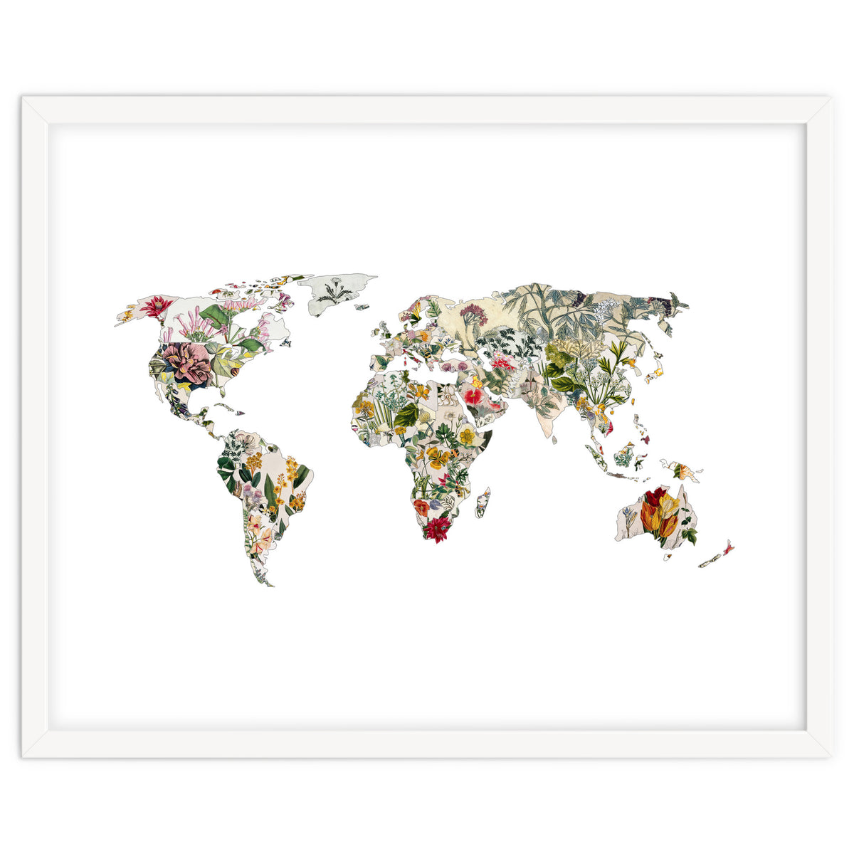 Vintage Botanical Map