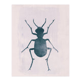 Beetle 1 (Print Only) thumbnail