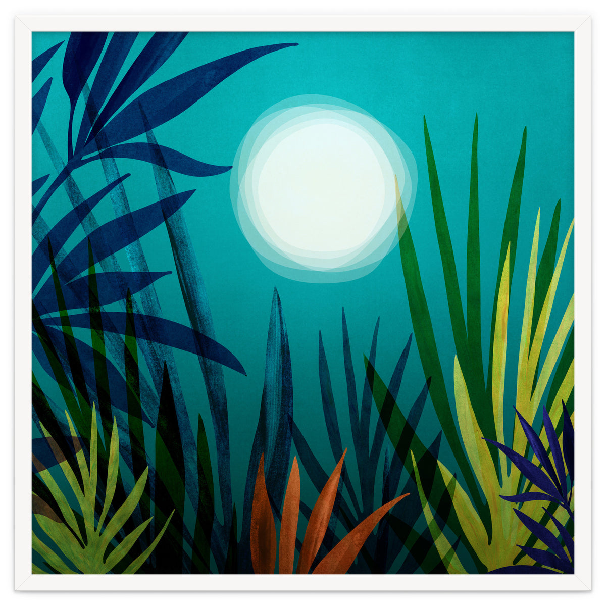 Midnight In The Jungle