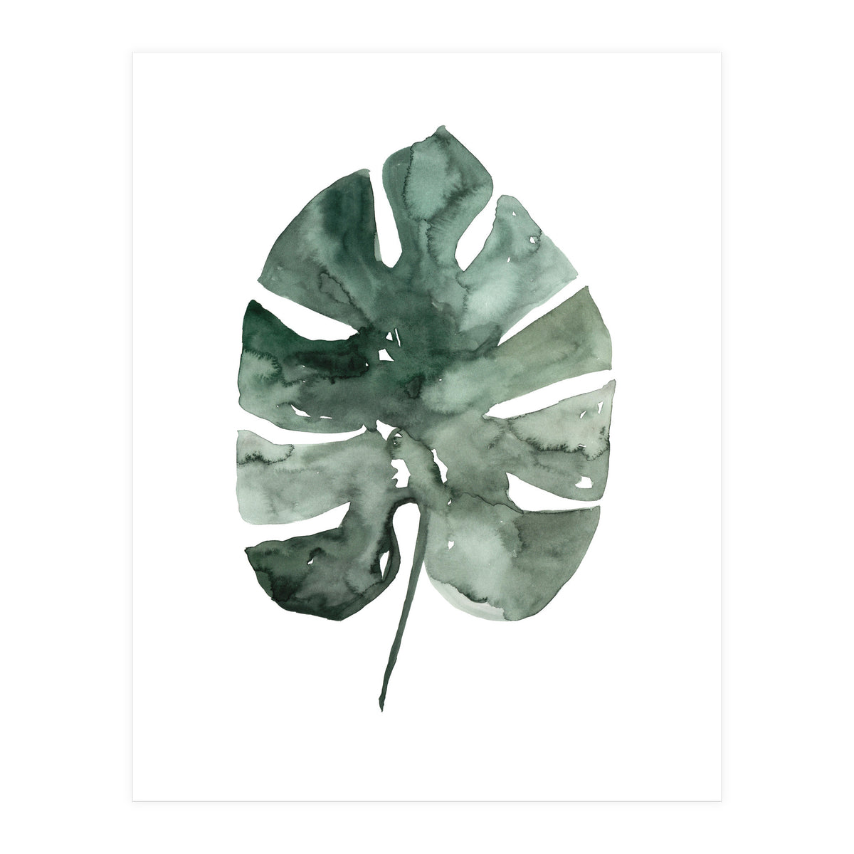 Botanical Illustration Monstera Leaf (Print Only)