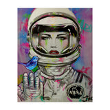 Nova Nova (Print Only) thumbnail