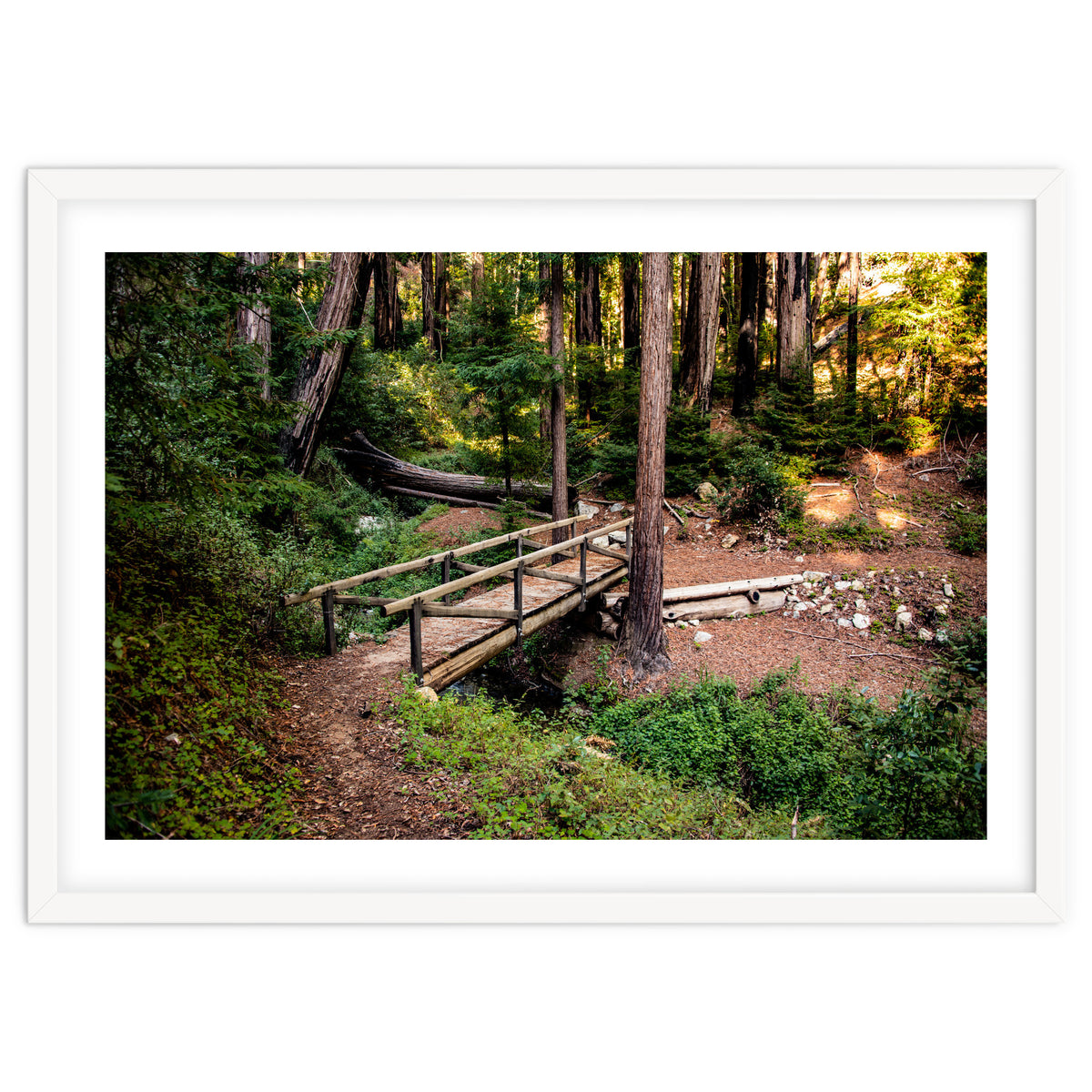 Ewoldsen Loop Bridge