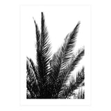 Black and White (Print Only) thumbnail