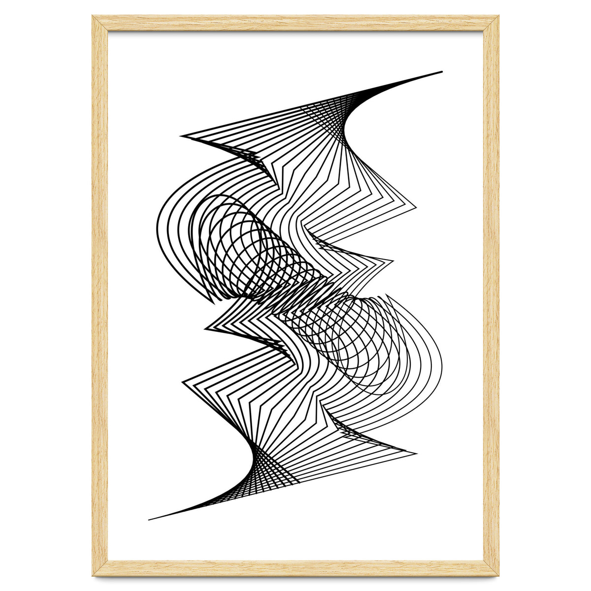 Organized Chaos_White