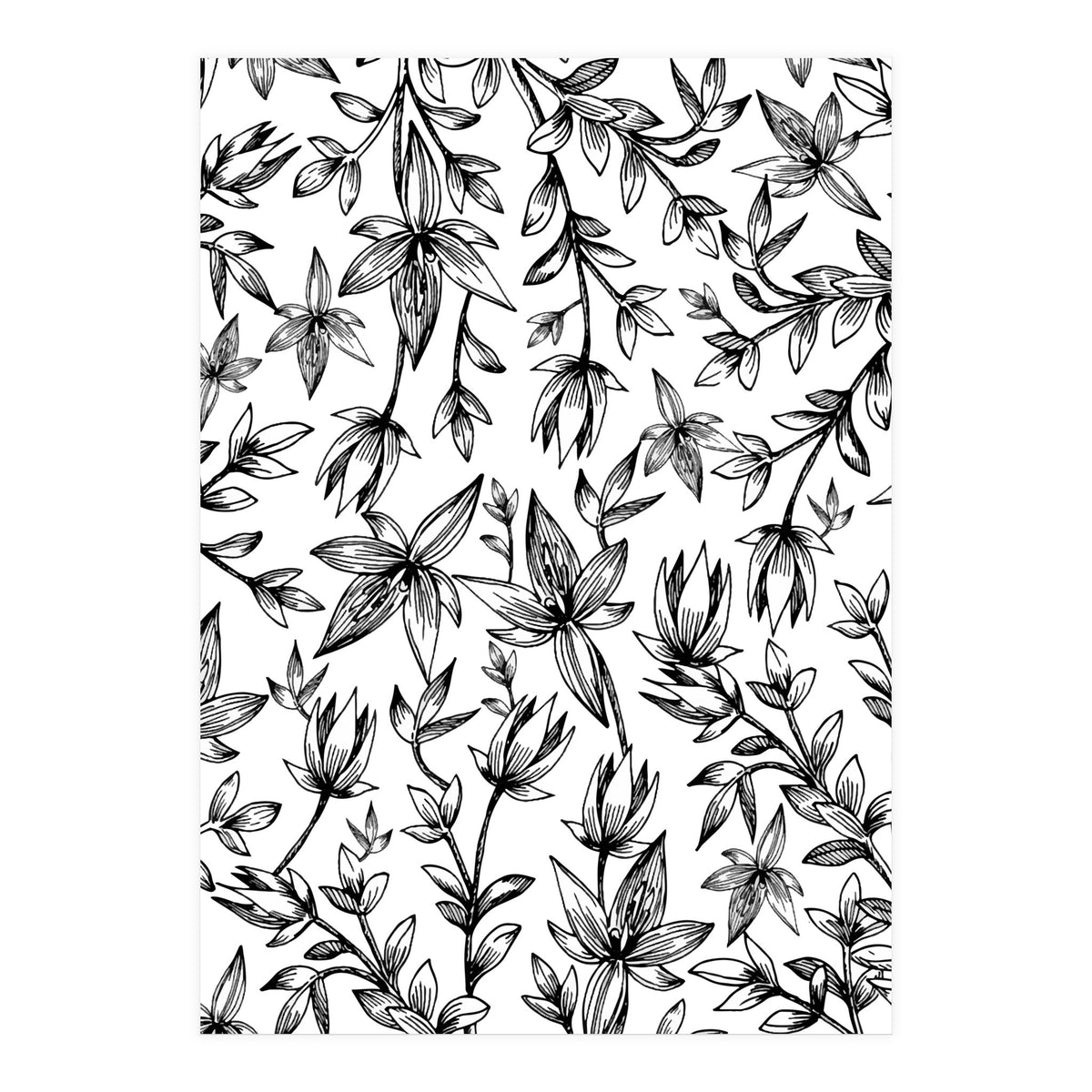 Veli V2 (Print Only)