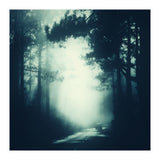 passage (Print Only) thumbnail