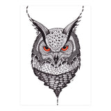 Owl (Print Only) thumbnail