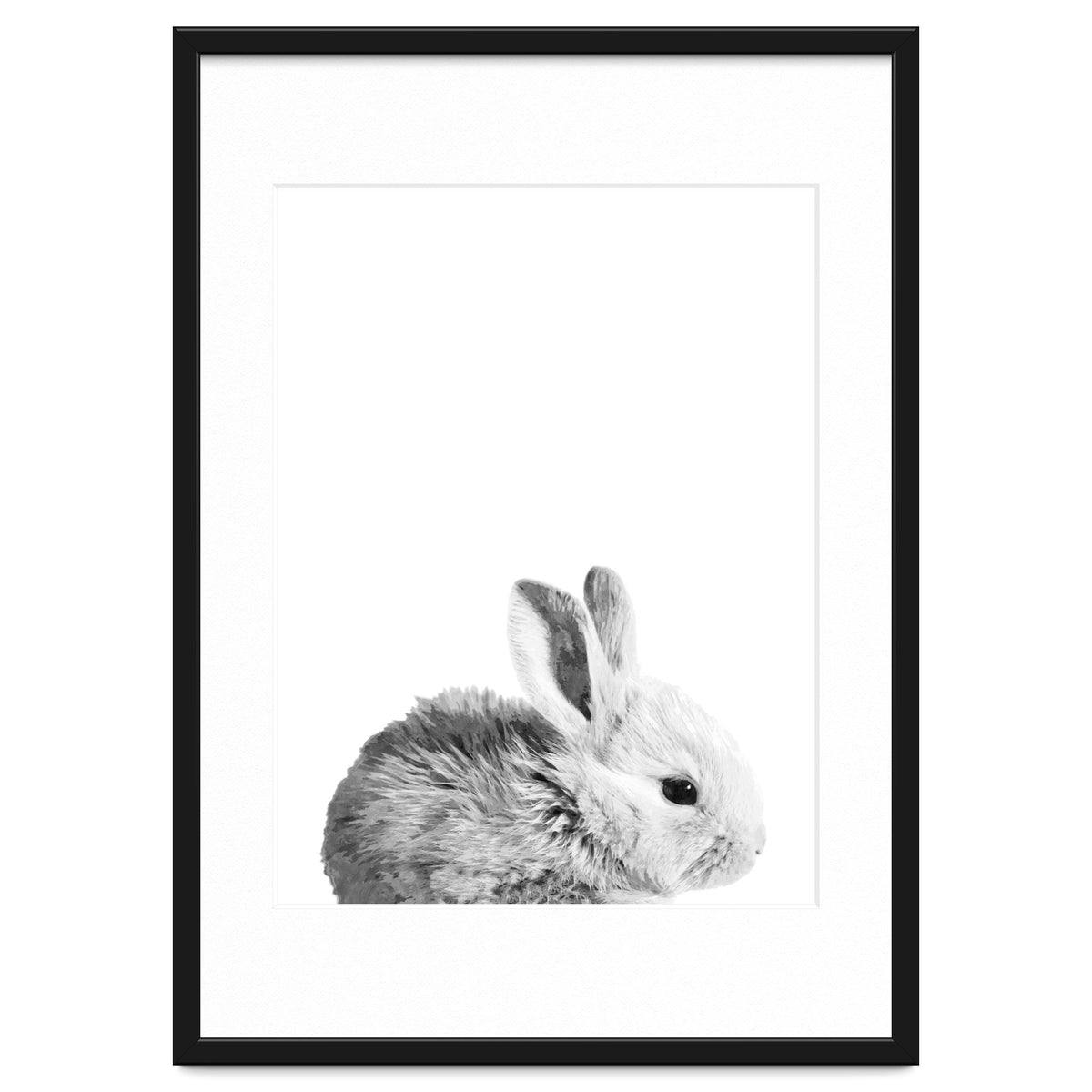 Black and White Bunny Portrait