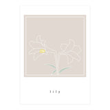 lily flower (Print Only) thumbnail