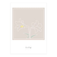 lily flower (Print Only)