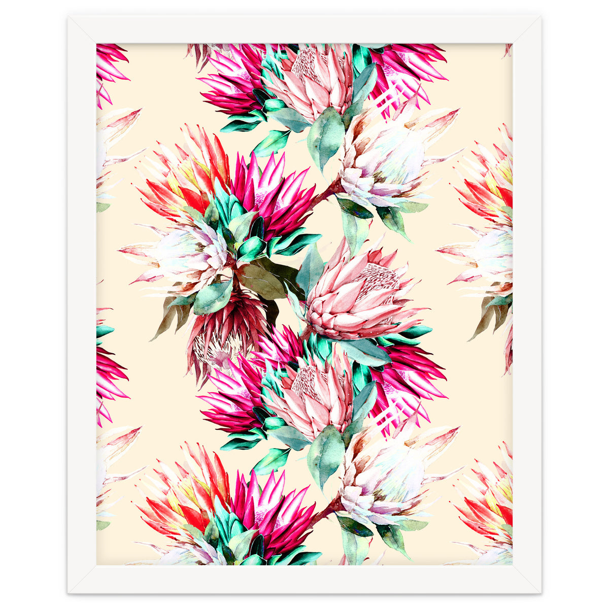 King proteas bloom II