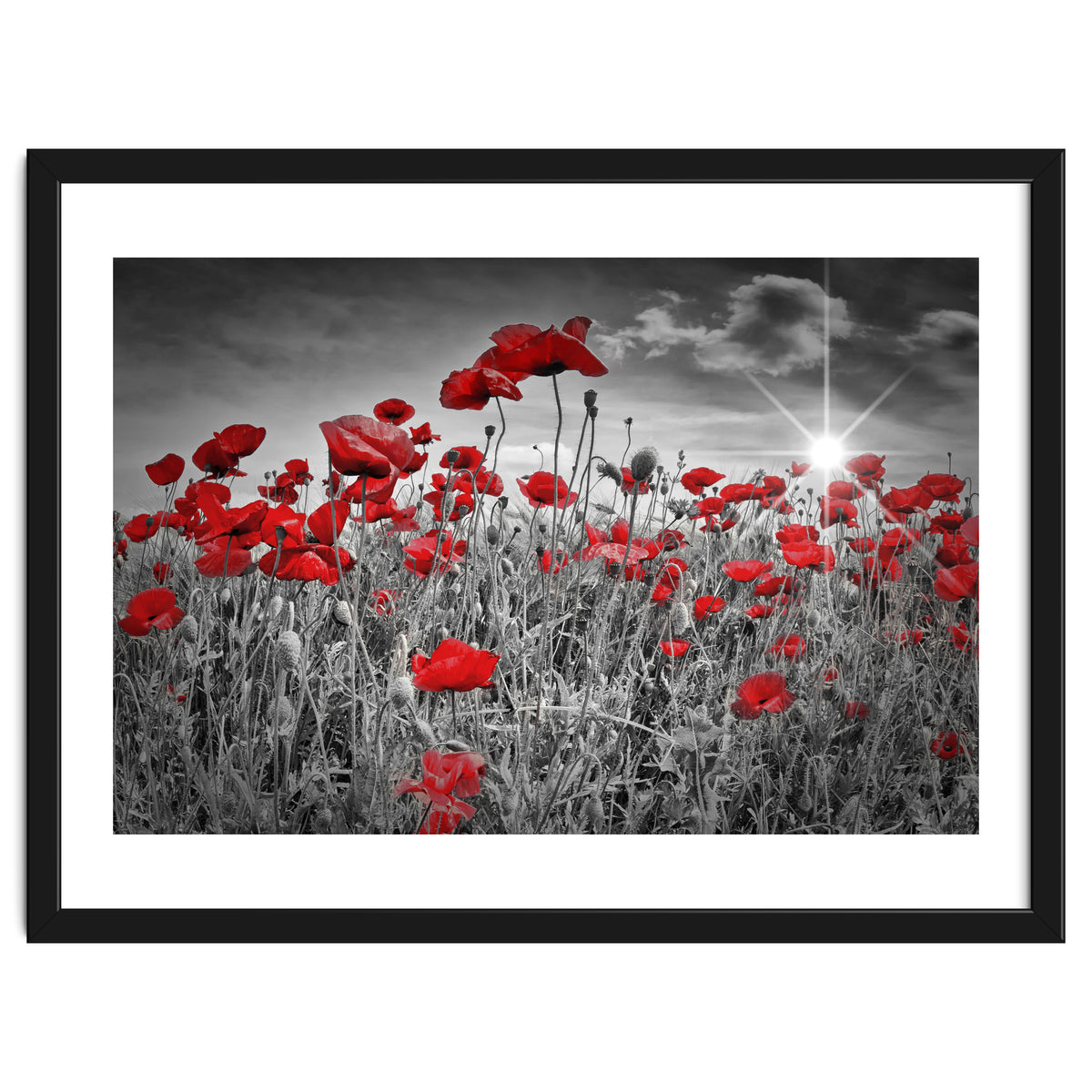 Idyllic Field of Poppies with Sun