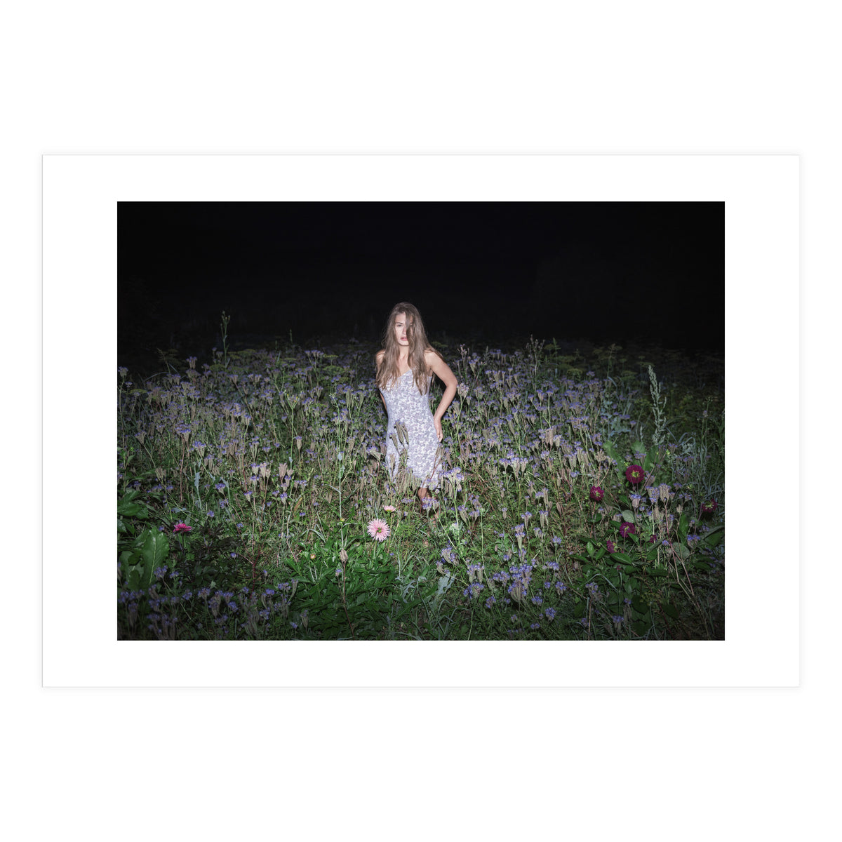 Insomnia (Print Only)