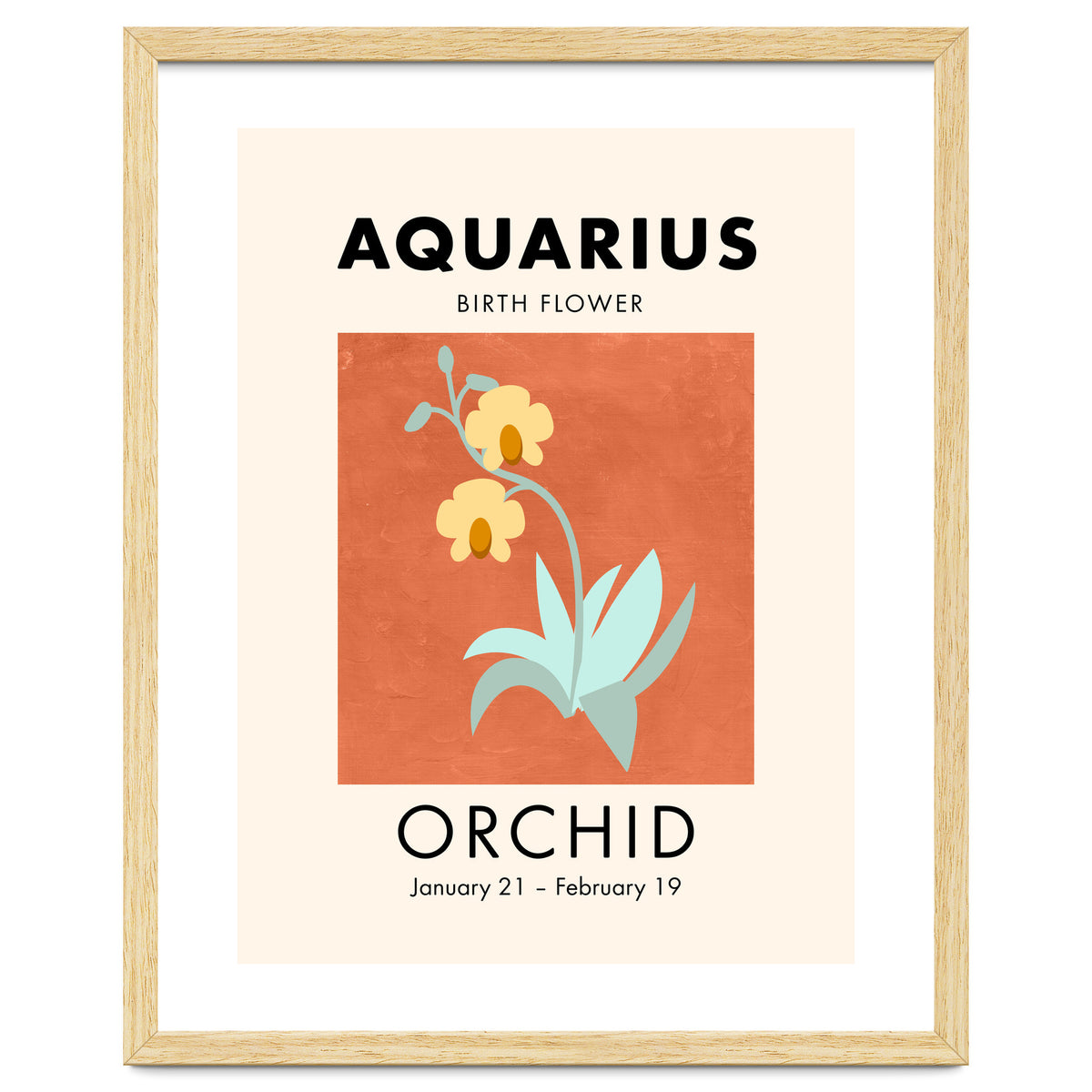 Aquarius Birth Flower Orchid
