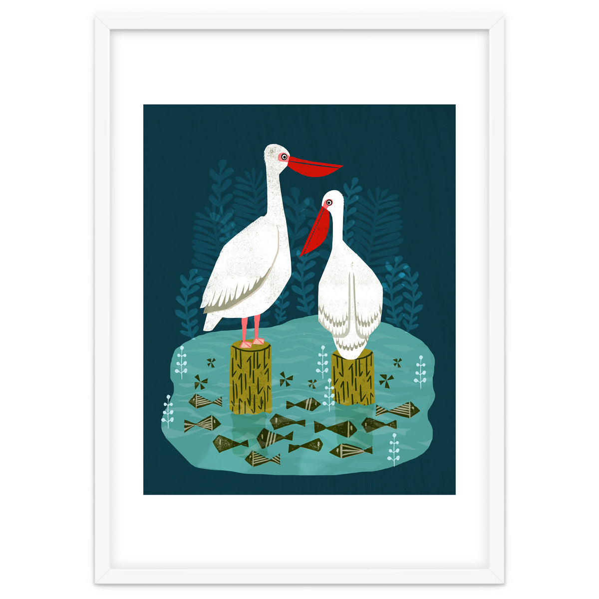 Pelicans