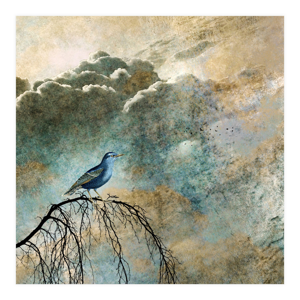 HEAVENLY BIRD IIa (Print Only)