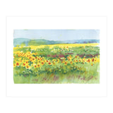Sunflowers field  (Print Only) thumbnail