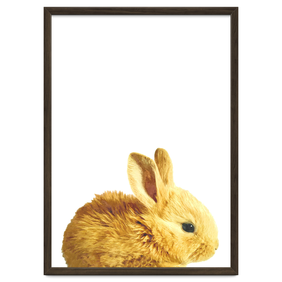 Bunny Portrait