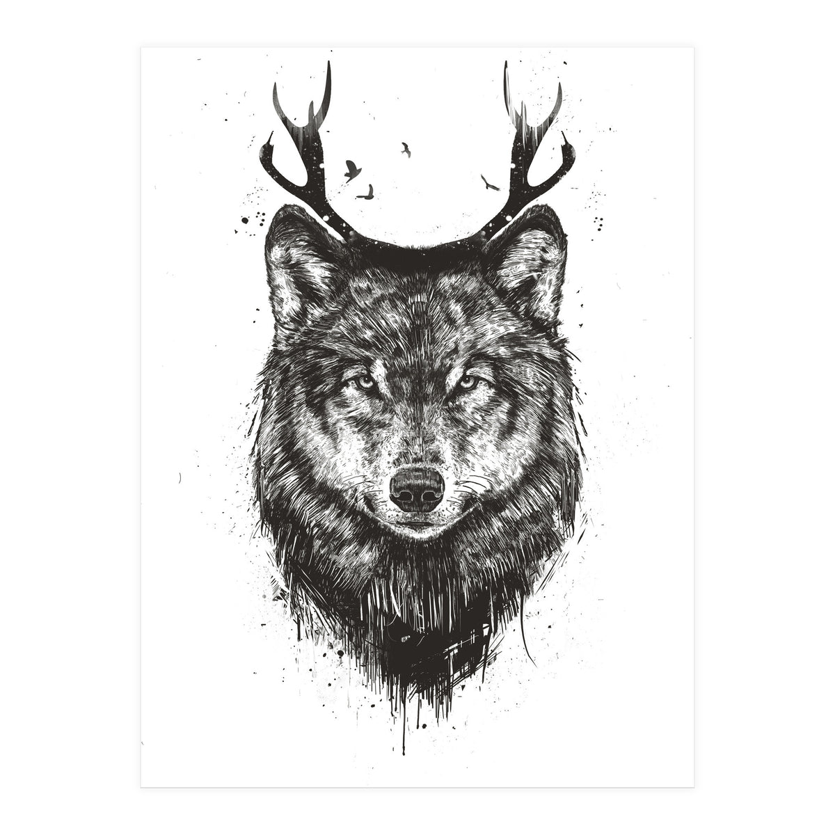Deer Wolf Bw (Print Only)