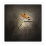 Graceful flower - Strelitzia | vintage style  (Print Only) thumbnail