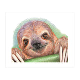 Smiling Sloth (Print Only) thumbnail