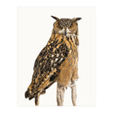 Cc Birds 11 (Print Only) thumbnail