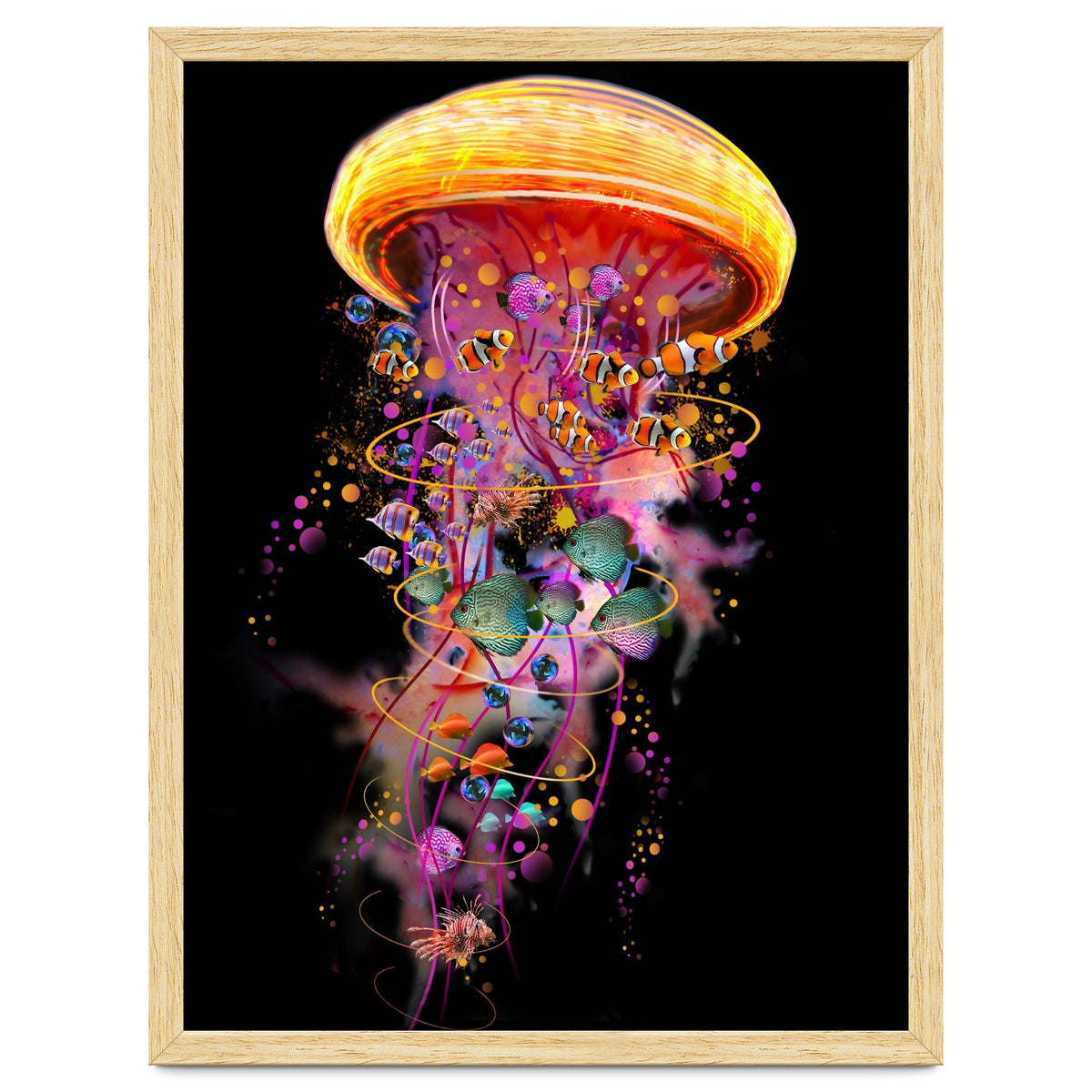 Jelly Fish Ride Summer2018 Dbh