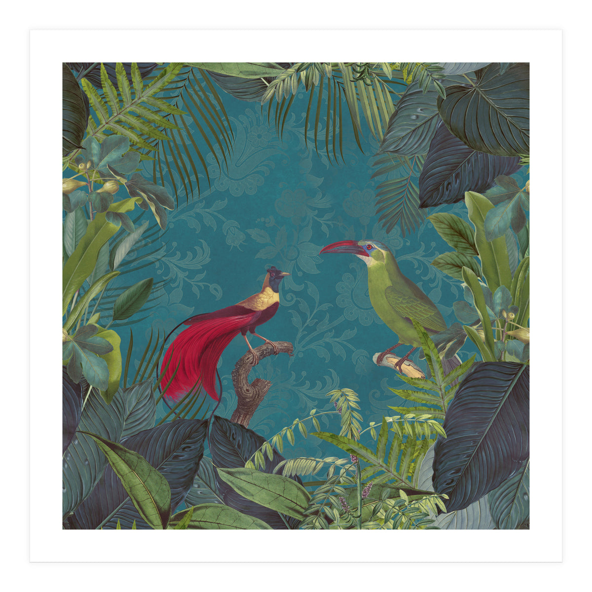 Birds Of Paradise (Print Only)