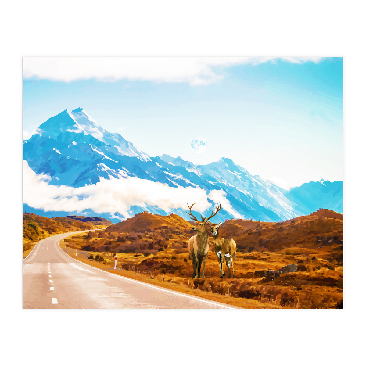 Wildlife (Print Only)