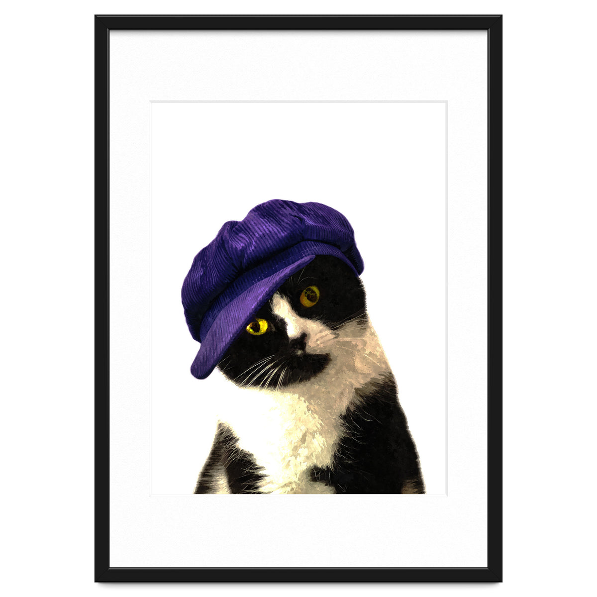 Cat Blue Hat