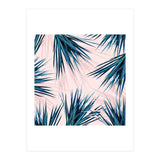 Pointy Palm (Print Only) thumbnail