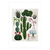 botanical (Print Only) thumbnail