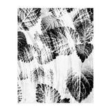 Raining Forest No6 (Print Only) thumbnail