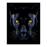 Panther (Print Only) thumbnail