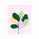 Figleaf (Print Only) thumbnail