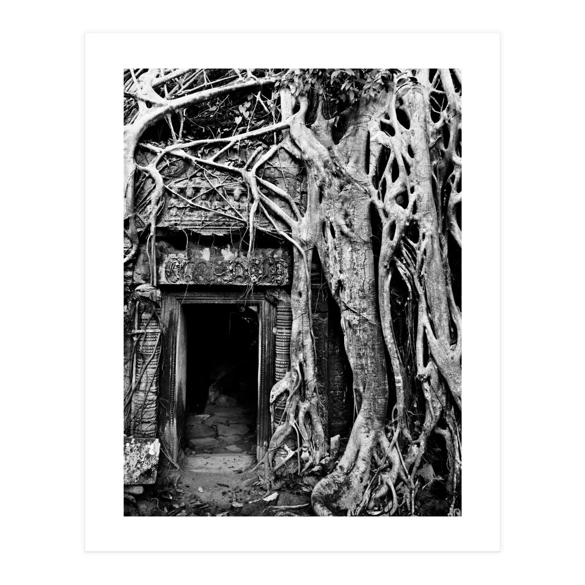 Ta Prohm Temple, Cambodia (Print Only)