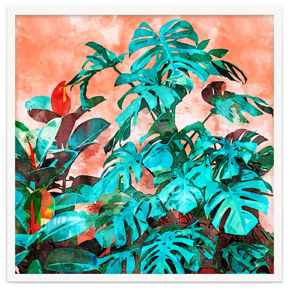 Monstera In My Backyard