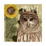 Sunflowers and Barred Owl (Print Only) thumbnail