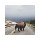 Street Walker (Print Only) thumbnail