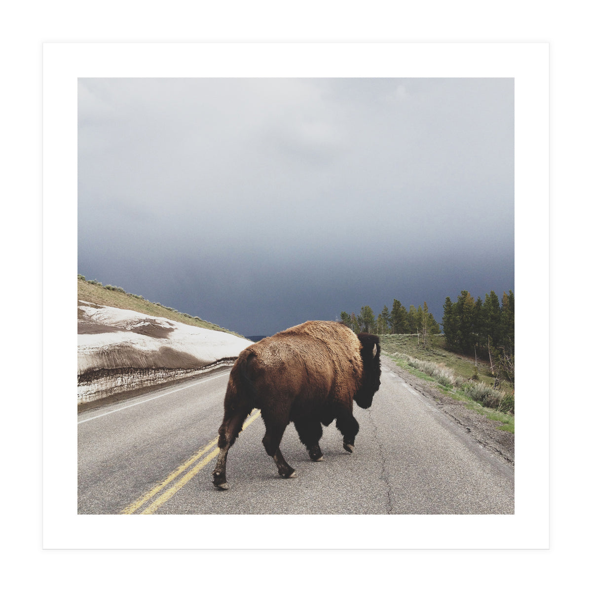 Street Walker (Print Only)